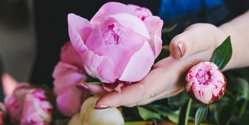 Välj rätt sommarblommor att så för din trädgård eller dina buketter