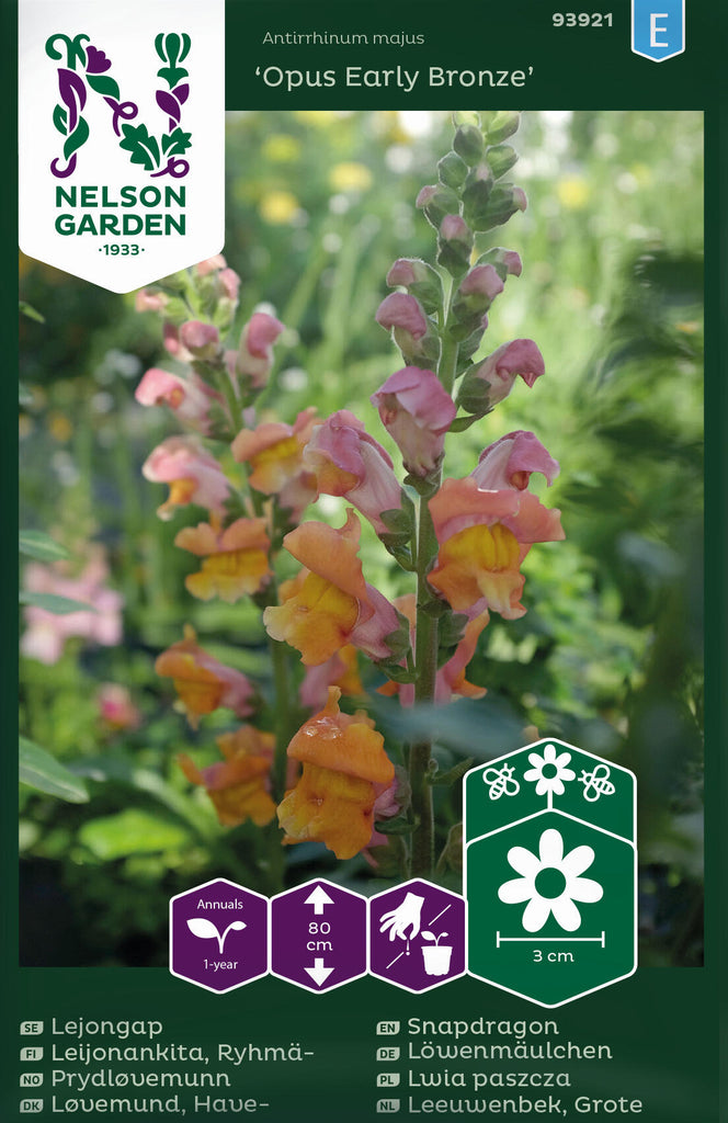 ntirrhinum_majus_opus_early_bronze_f1_lejongap